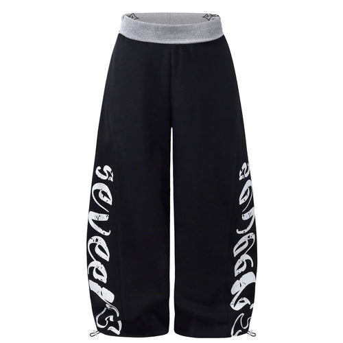 Billboard Wide-Leg Pants